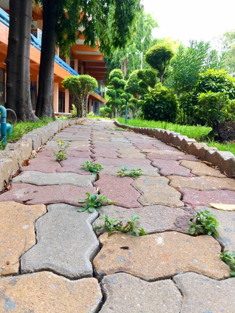 Contact Landmark Hardscapes